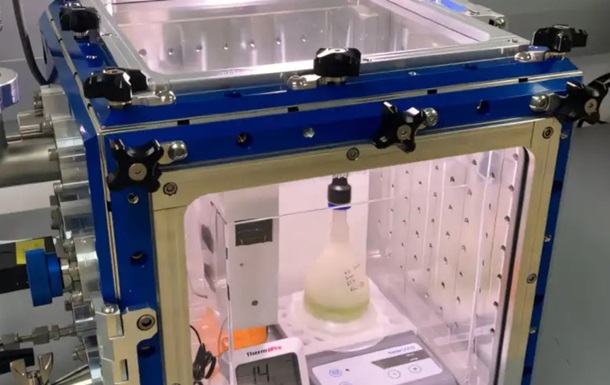 Учёные вырастили водоросли в условиях Марса