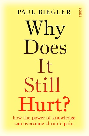 Cover: Why Does It Still Hurt? - Paul Biegler