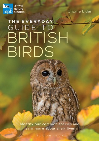 Cover: The Everyday Guide to British Birds - Charlie Elder