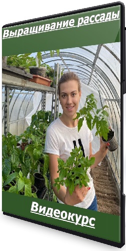 [Кристианна Виниченко] Выращивание рассады (2025) Видеокурс