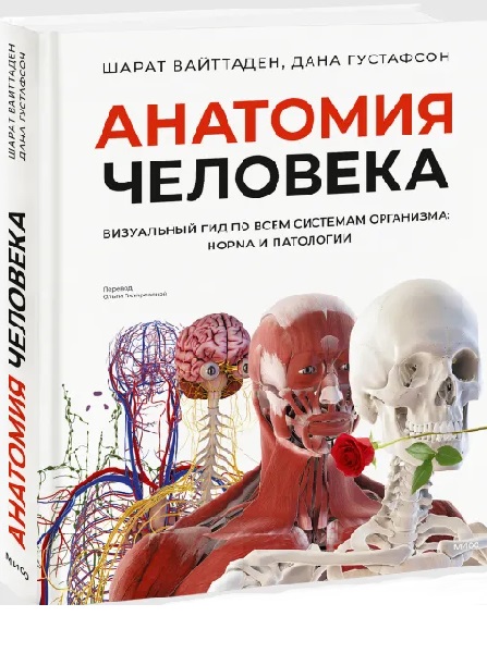 Анатомия человека. Визуальный гид по всем системам организма