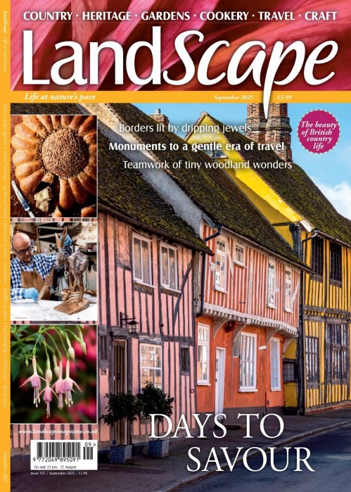 Landscape – September 2025