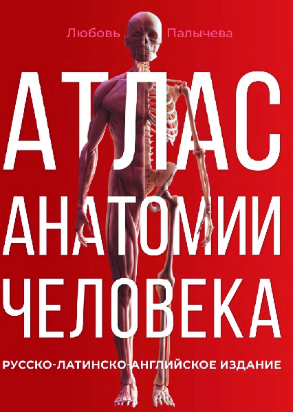 Атлас анатомии человека. Русско-латинско-английское издание