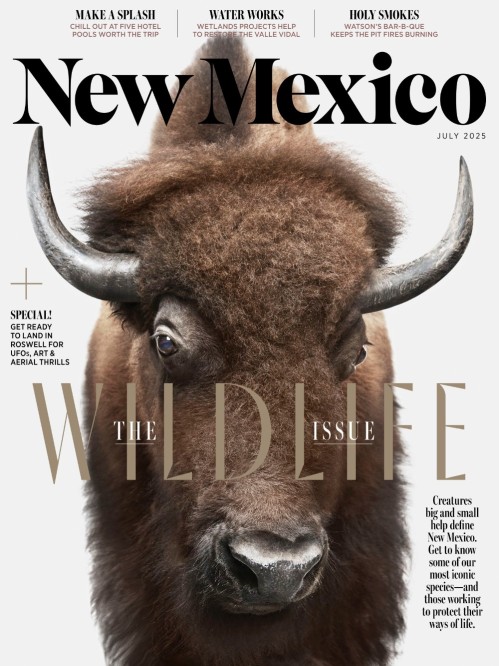 New Mexico – July 2025