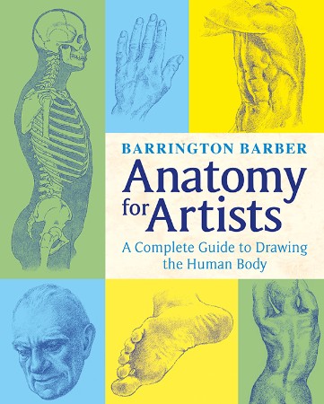 Cover: Anatomy for Artists - Barrington Barber