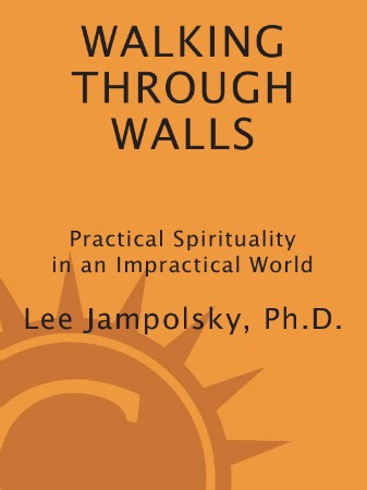 Cover: Walking Through Walls - Lee L. Jampolsky