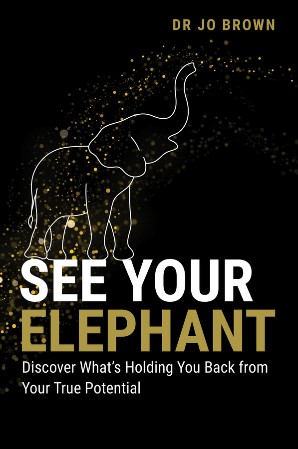 Cover: See Your Elephant - Dr. Jo Brown