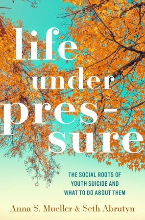 Cover: Life under Pressure - Anna S. Mueller