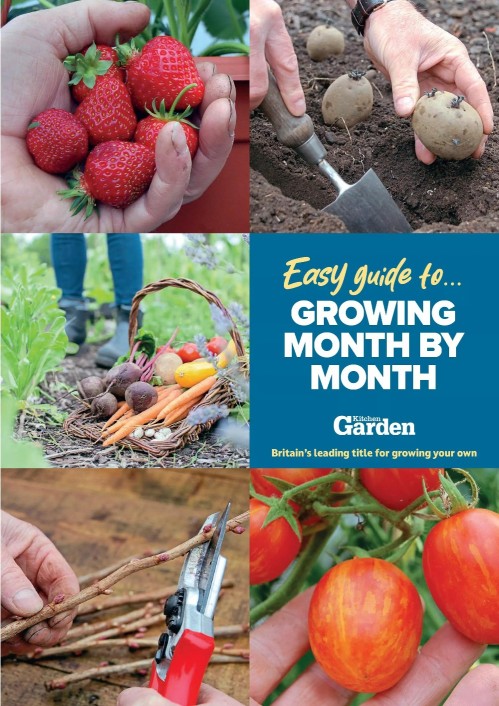 Amateur Gardening Easy Guide To – Growing Month by Month, Issue 7 2025