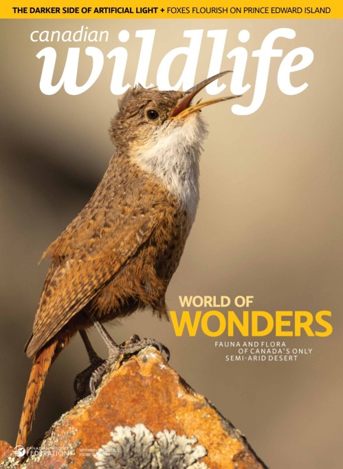 Canadian Wildlife – September/October 2025