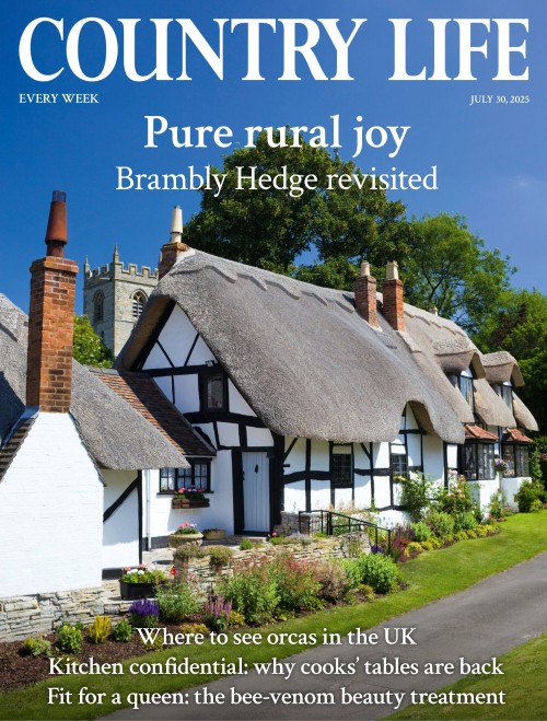 Country Life UK – July 30, 2025