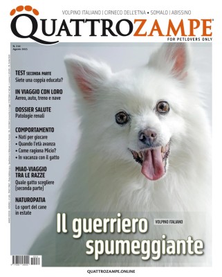 QuattroZampe - Agosto 2025