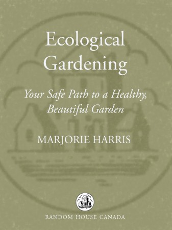 Cover: Jardiner&iacute;a ecol&oacute;gica para principiantes [Ecological Gardening for Beginners] - Dion Rosser