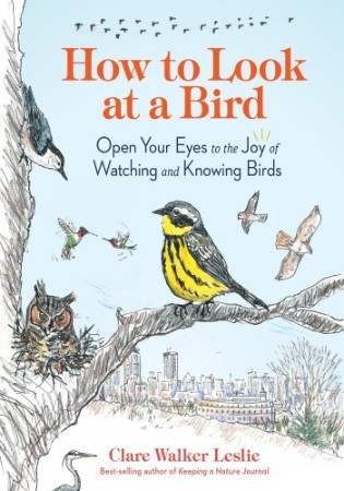 Cover: How to Look at a Bird - Clare Walker Leslie