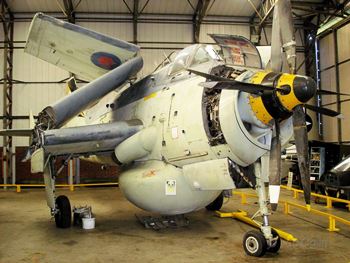Fairey Gannet AEW.3 Walk Around
