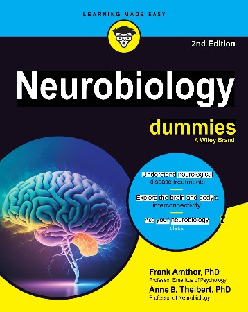Cover: Neurobiology for Dummies, 2nd Edition - Frank Amthor PhD