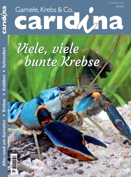 Caridina - Nr 3.2025 Caridina - Nr 3.2025