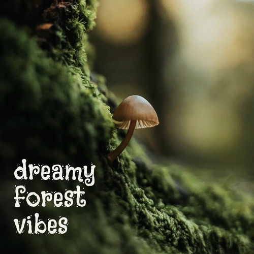 dreamy forest vibes (2025) dreamy forest vibes (2025)