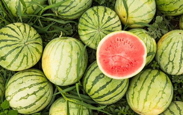 Стало известно, где в Украине выращивают больше всего арбузов