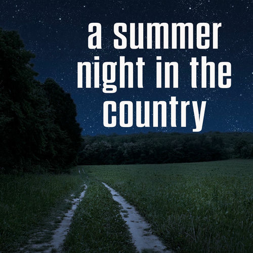 a summer night in the country (2025) a summer night in the country (2025)
