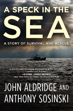 Cover: The Sea - John Banville