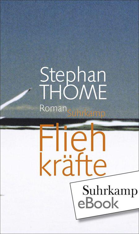 Fliehkraefte - Thome, Stephan Fliehkraefte - Thome, Stephan