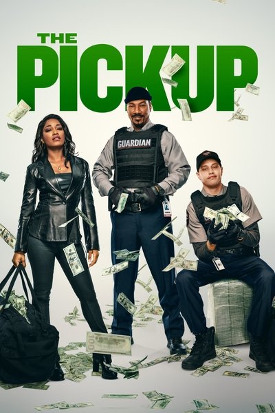 The.Pickup.2025.GERMAN.DL.1080P.WEB.H264-WAYNE