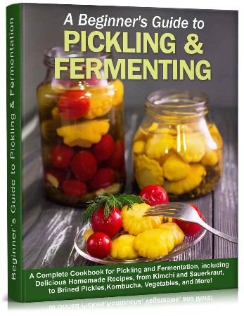 Cover: Fermentation - Seth Ring