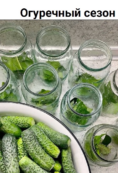 Гайд. Огуречный сезон