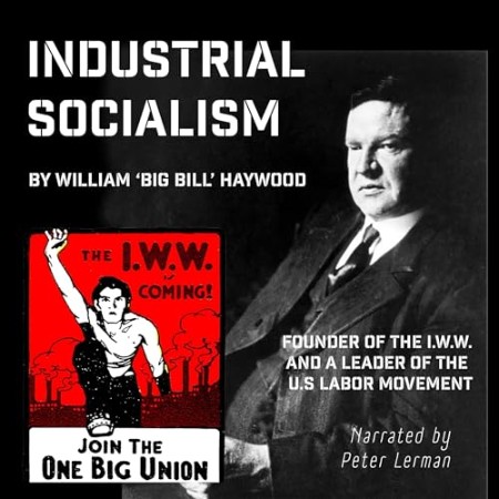Industrial Socialism - [AUDIOBOOK]