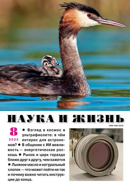 Наука и жизнь №8 (август 2025)