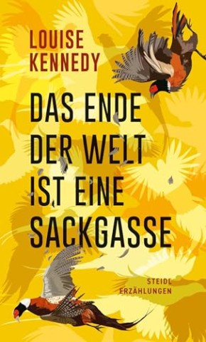 Cover: Kennedy, Louise - Das Ende der Welt ist eine Sackgasse
