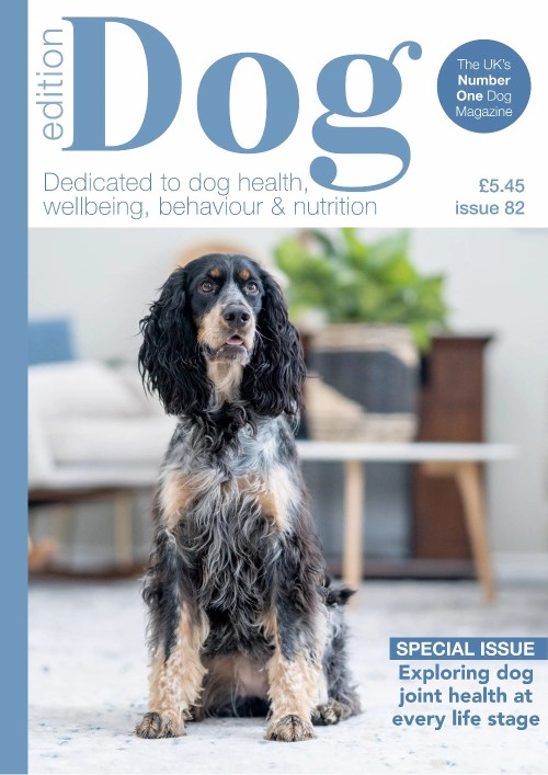 Edition Dog - Issue 82 2025