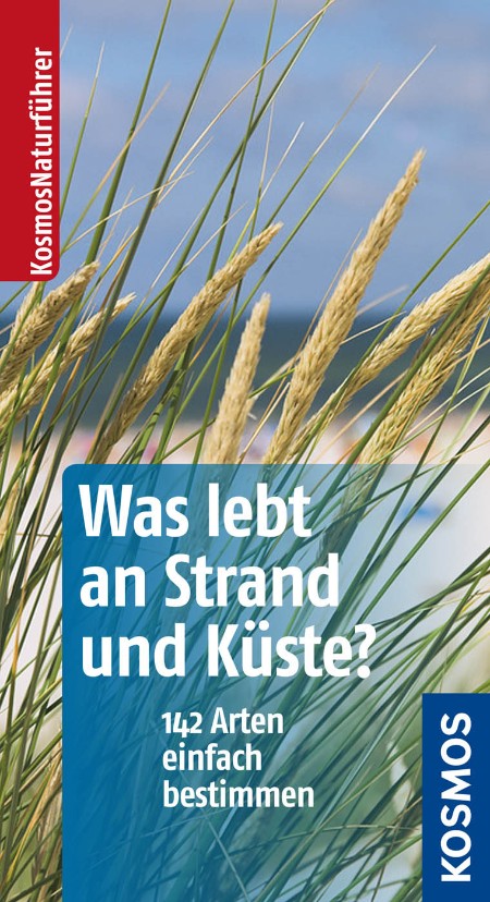 Was lebt an Strand und Kueste - Wilhelmsen, Ute Was lebt an Strand und Kueste - Wilhelmsen, Ute