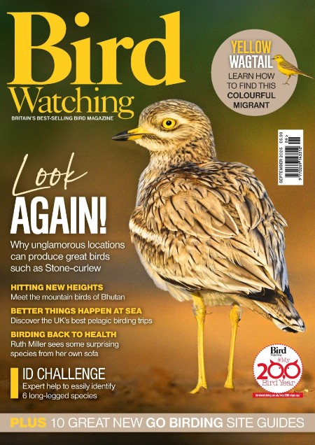 Bird Watching UK - September 2025