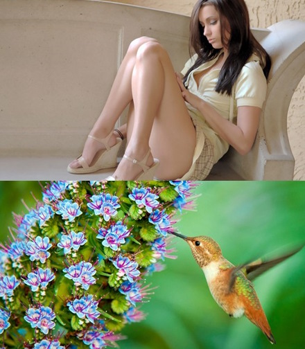 Mixturka - Wallpapers Collection 173