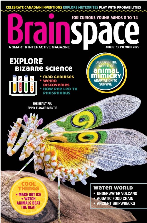 Brainspace - August/September 2025