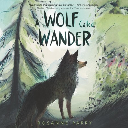 Cover: Into the Wilderness - Sara Donati