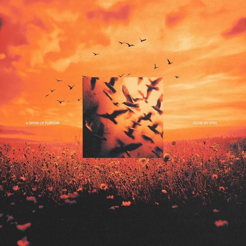A Sense of Purpose - Close My Eyes [single] (2025)