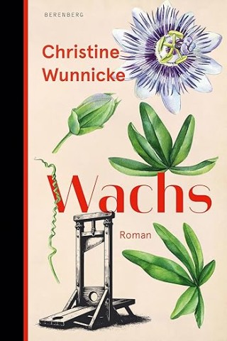 Cover: Wunnicke, Christine - Wachs