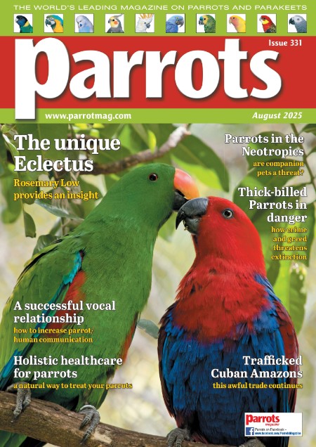 Parrots - August 2025