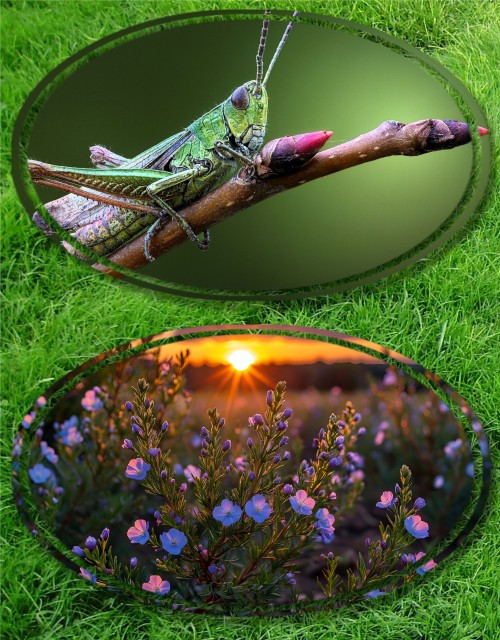Super mix wallpapers 749