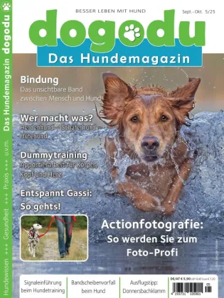 409fd0288a75e1684ff2e48cb4c91d17.webp