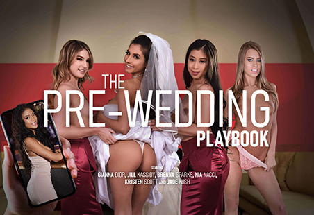 The Pre-Wedding Playbook by LifeSelector Porn Game