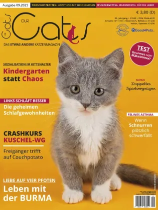 d2da5ac5a04eaa51603dfcbf2ee99e80.webp