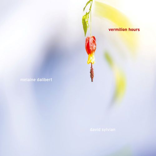 Melaine Dalibert and David Sylvian - Vermilion Hours (2025) FLAC