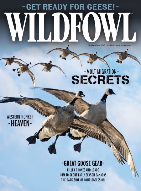 Wildfowl - September 2025