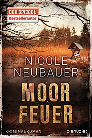 Cover: Ralph Neubauer - Fabio Fameo 12 - Finale Curioso