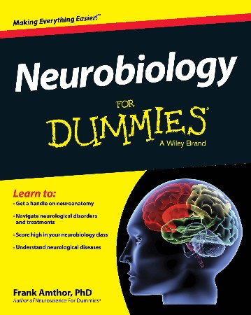 Cover: Neurobiology for Dummies - Amthor