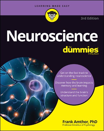 Cover: Neuroscience For Dummies - Amthor